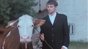 Кадры из фильма Корова / Kráva (1994)