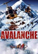 Лавина / Nature Unleashed: Avalanche (2004)