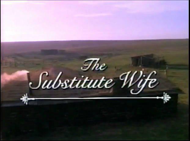 Кадр из фильма Вместо жены / The Substitute Wife (1994)