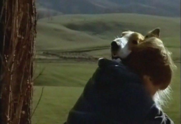 Кадр из фильма Лэсси / Lassie (1994)