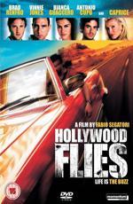 Налетчики из Голливуда / Hollywood Flies (2004)
