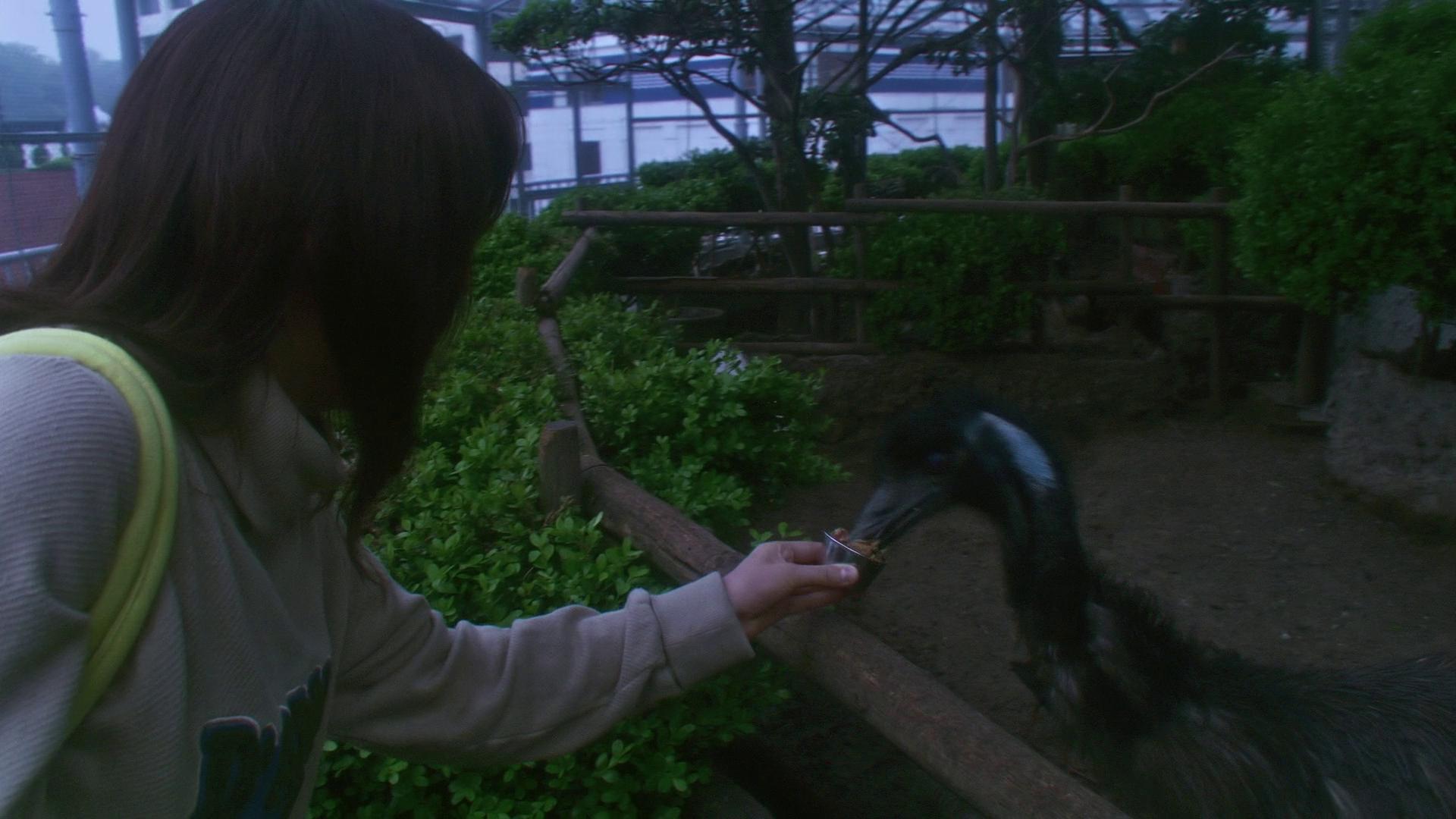 Кадр из фильма Хана и Алиса / Hana to Arisu (2004)