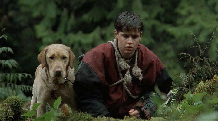 Кадр из фильма Далеко от дома: Приключения желтого пса / Far from Home: The Adventures of Yellow Dog (1995)