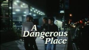 Кадры из фильма Не сдавайся / A Dangerous Place (1995)