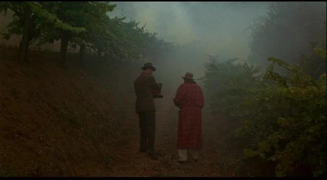 Кадр из фильма Прогулка в облаках / A Walk in the Clouds (1995)