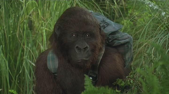 Кадр из фильма Конго / Congo (1995)