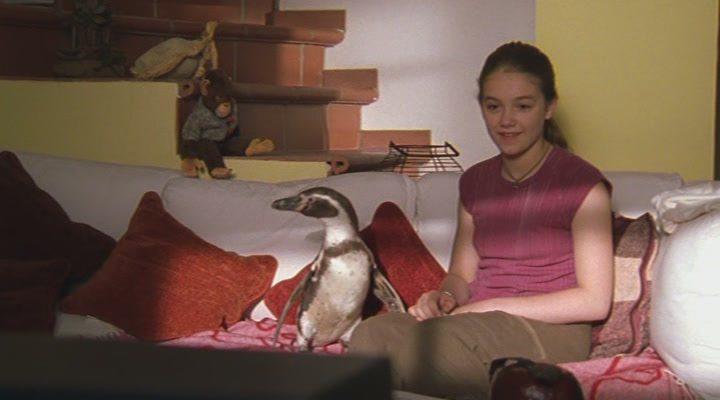 Кадр из фильма Пингвин Амундсен / Amundsen der Pinguin (2003)