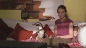 Кадры из фильма Пингвин Амундсен / Amundsen der Pinguin (2003)