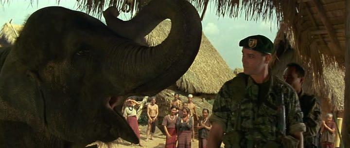 Кадр из фильма Операция «Слон» / Operation Dumbo Drop (1995)