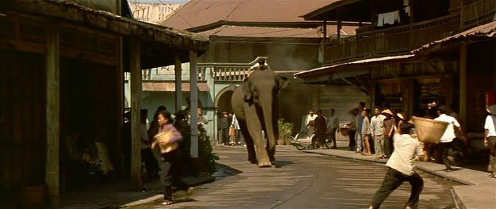 Кадр из фильма Операция «Слон» / Operation Dumbo Drop (1995)