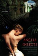 Ангелы и насекомые
