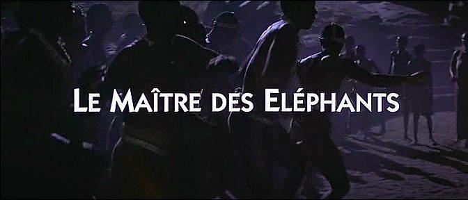 Кадр из фильма Повелитель слонов / Le maitre des elephants (1995)