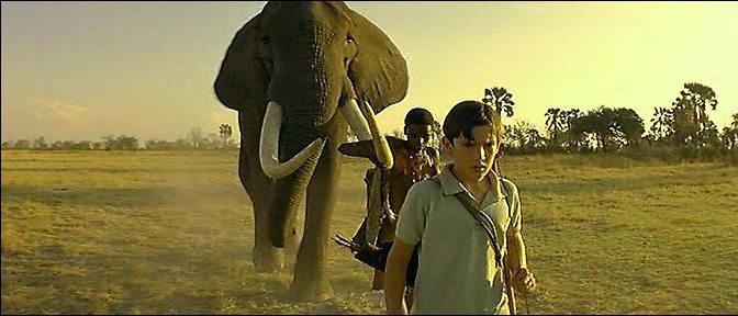 Кадр из фильма Повелитель слонов / Le maitre des elephants (1995)
