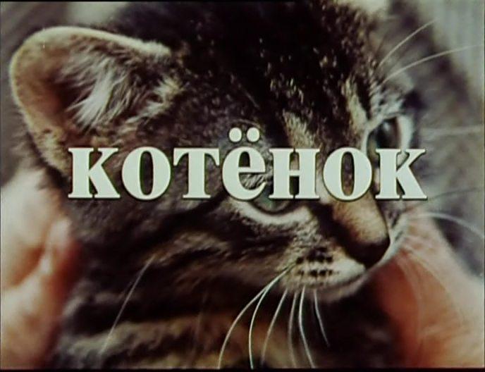 Кадр из фильма Котёнок (1996)