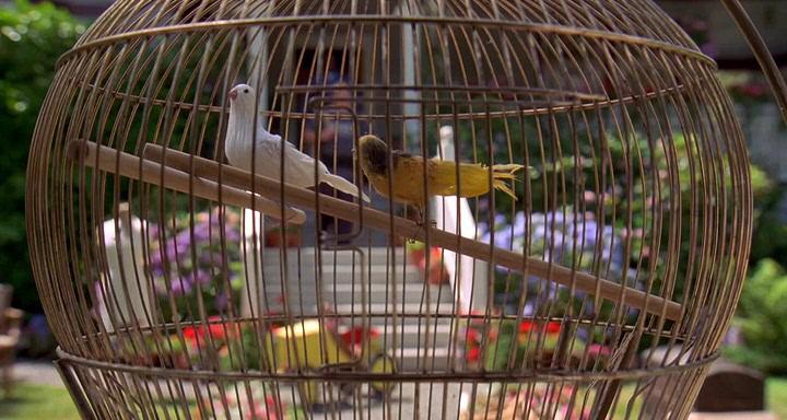 Кадр из фильма Счастливчик Гилмор / Happy Gilmore (1996)