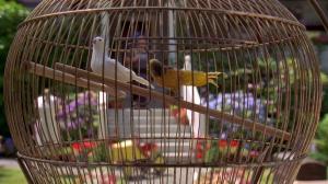 Кадры из фильма Счастливчик Гилмор / Happy Gilmore (1996)