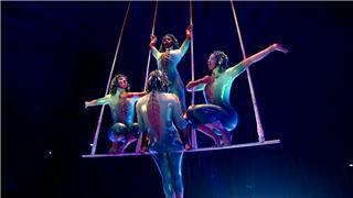 Кадр из фильма Цирк Солнца: Варекай / Cirque Du Soleil: Varekai (2003)