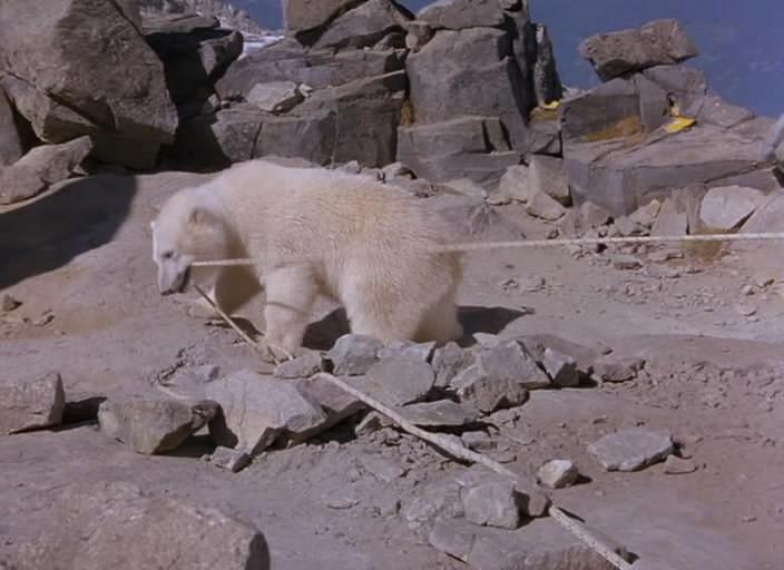 Кадр из фильма Аляска / Alaska (1996)