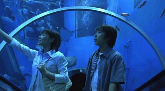 Кадр из фильма Синий свет / Ao no hono-o (2003)