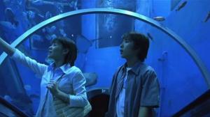 Кадры из фильма Синий свет / Ao no hono-o (2003)