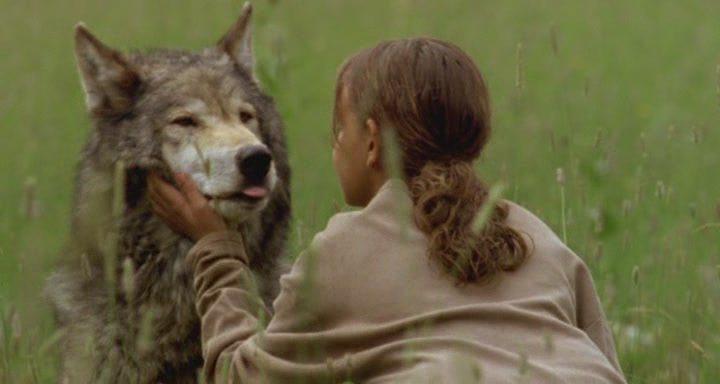 Кадр из фильма Волчье лето / Ulvesommer (2003)