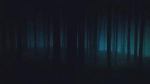 Кадры из фильма Тёмный лес