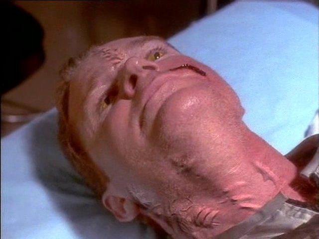 Кадр из фильма Темная порода / Dark Breed (1996)