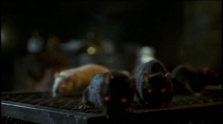 Кадр из фильма Хозяева подземелий / Rats (2003)