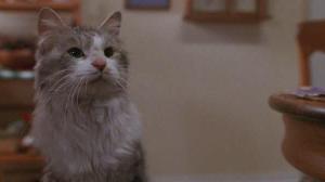 Кадры из фильма Эта дикая кошка / That Darn Cat (1997)