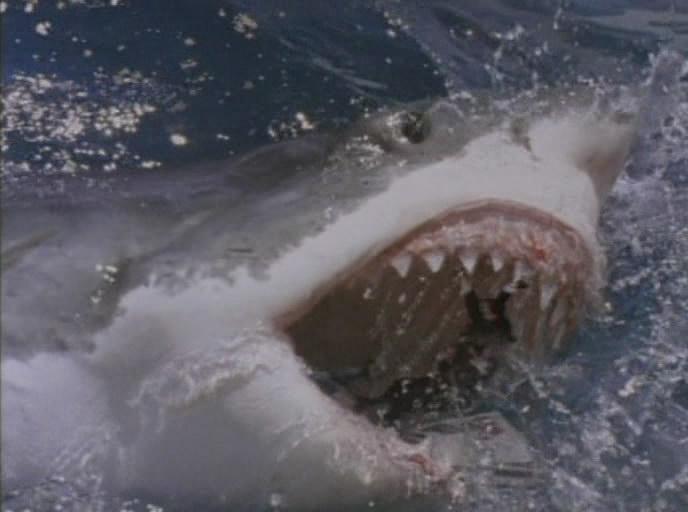 Кадр из фильма Акулы 3: Мегалодон / Shark Attack 3: Megalodon (2002)