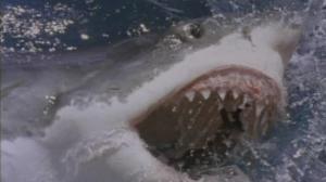 Кадры из фильма Акулы 3: Мегалодон / Shark Attack 3: Megalodon (2002)