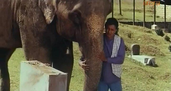 Кадр из фильма Месть слона / Jodidar (1997)