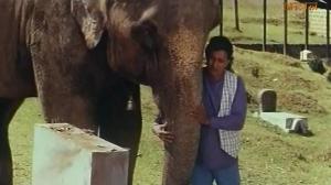 Кадры из фильма Месть слона / Jodidar (1997)