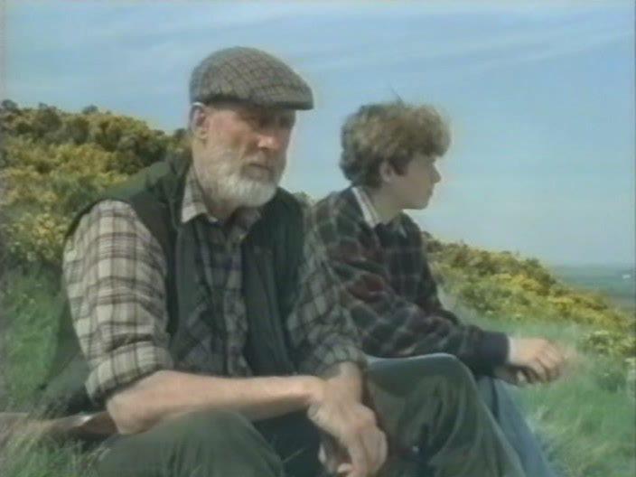 Кадр из фильма Старина Боб / Owd Bob (1997)