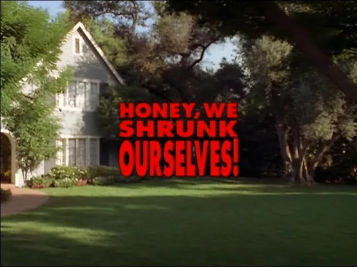 Кадр из фильма Дорогая, мы себя уменьшили / Honey, We Shrunk Ourselves (1997)