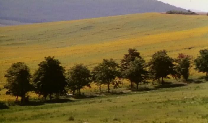 Кадр из фильма Длинные сумерки / Hosszu alkony (1997)