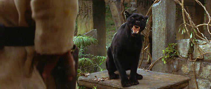 Кадр из фильма Вторая книга джунглей: Маугли и Балу / The Second Jungle Book: Mowgli & Baloo (1997)