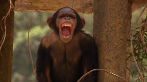 Кадры из фильма Вторая книга джунглей: Маугли и Балу / The Second Jungle Book: Mowgli & Baloo (1997)