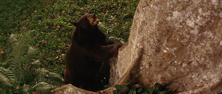 Кадр из фильма Вторая книга джунглей: Маугли и Балу / The Second Jungle Book: Mowgli & Baloo (1997)