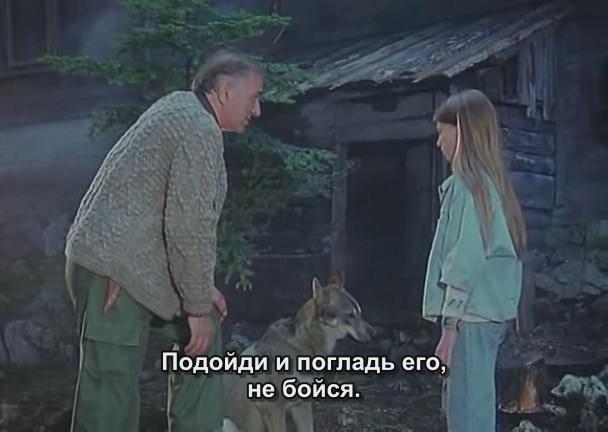 Кадр из фильма Некоторые птицы никогда не долетят / Ptice koje ne polete (1997)