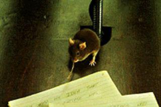 Кадр из фильма Мышиная охота / Mousehunt (1997)