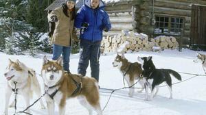 Кадры из фильма Снежные псы / Snow Dogs (2002)