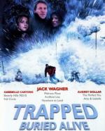 Погребенные лавиной / Trapped: Buried Alive (2002)