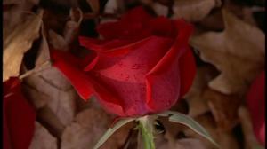Кадры из фильма Особняк «Красная роза» / Rose Red (2002)