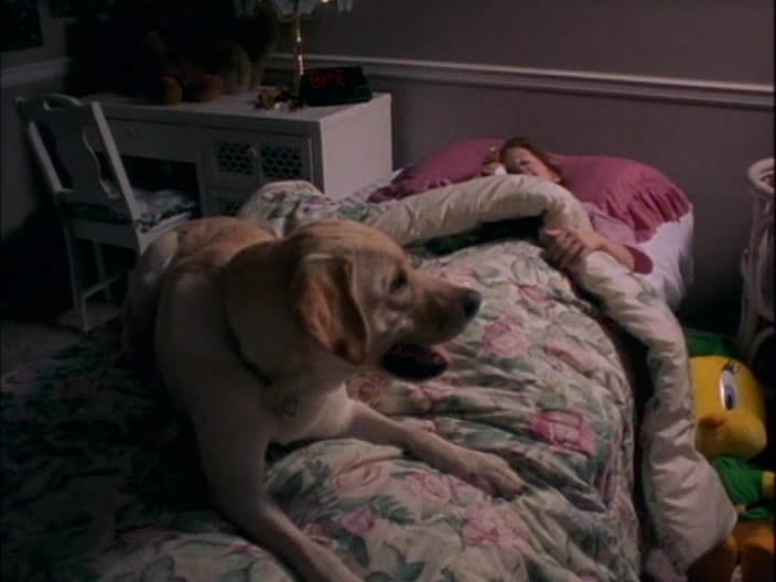 Кадр из фильма Больше чем щенячья любовь / More Than Puppy Love (2002)