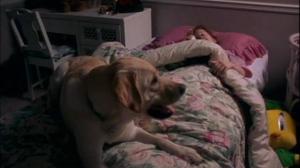 Кадры из фильма Больше чем щенячья любовь / More Than Puppy Love (2002)