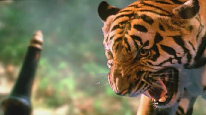 Кадр из фильма Легенда о тигрице / Tigress of King River (2002)