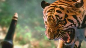 Кадры из фильма Легенда о тигрице / Tigress of King River (2002)