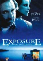 Вспышка / Exposure (2001)