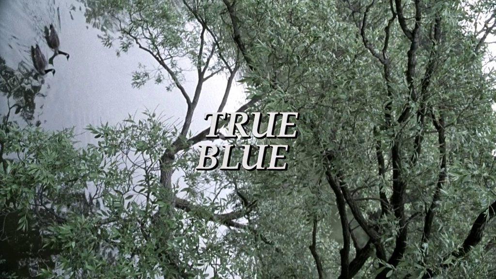 Кадр из фильма Последняя истина / True Blue (2001)